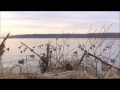 "Cans gone wild" - Canvasback duck hunting