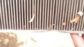 How to Replace Cabin Air Filter Nissan Pathfinder - YouTube