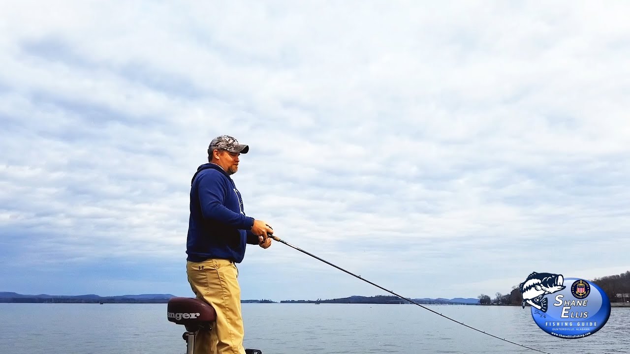 Shane Ellis Main Back