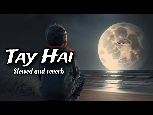 Tay Hai (slowed and reverb) #rishicreation6293 #rishi_creation #slowedandreverb #lofi class=