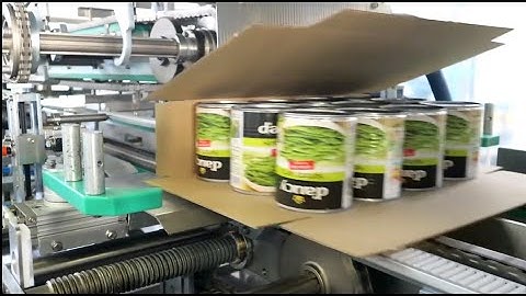 Prasmatic TC combi wrap around case packer packing canned vegetables - Robopac USA