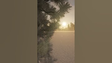 Seasons Animation Twinmotion Sunset 3D rendering