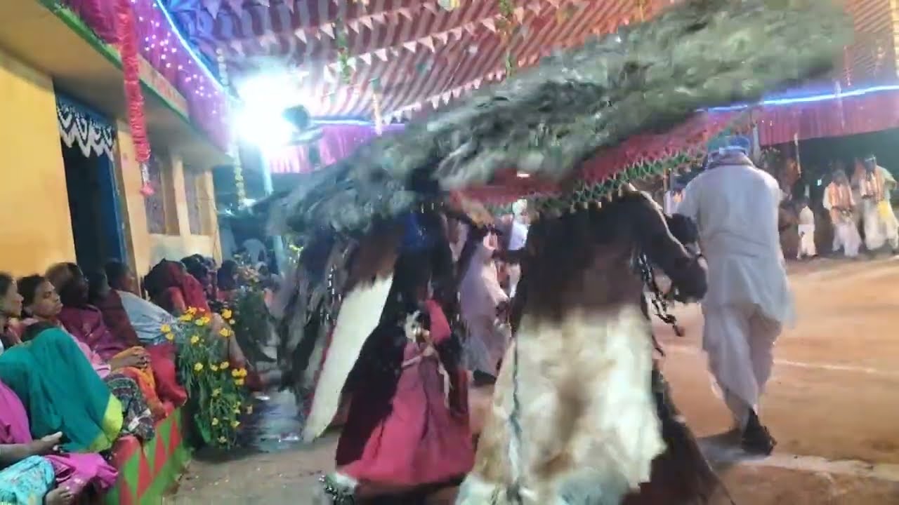 Dhodanda in గుంజల dandari videos 🥰🙏 