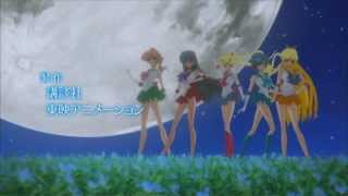 SCARICARE SAILOR MOON VIDEO SIGLA
