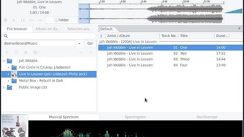 Configuring the DeadBeef UI in Linux