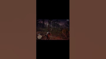 Red Dead Redemption 2 asked Arthur for help to trap himGTX1650 4G i3 9100f