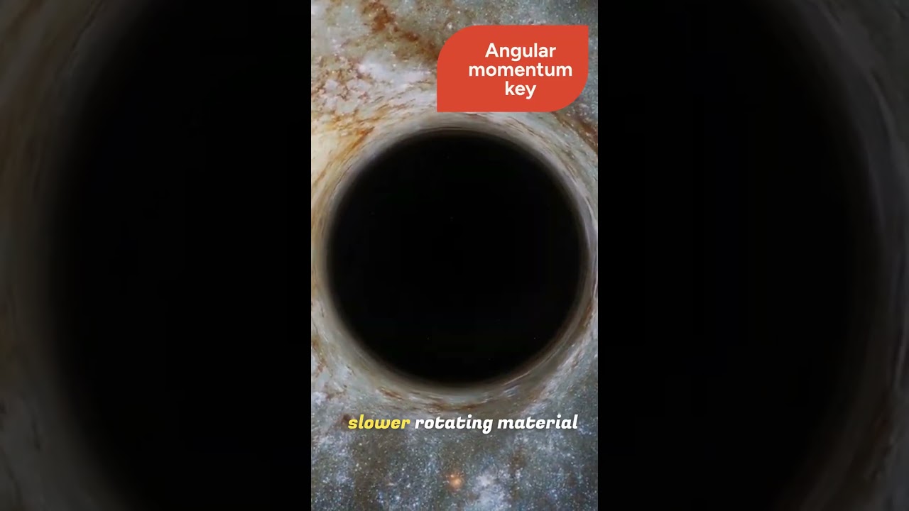 Discovering ENDTRANZ: The Birth of Planet-Forming Disks