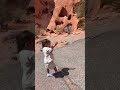 Walking with #pacifier running far away,catch me #mummy #enjoying #loveyou #avi #motherhood #nevada
