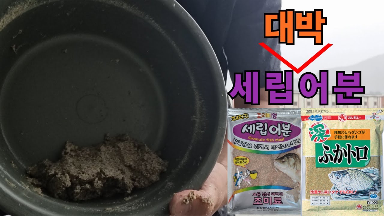 집어력까지 뛰어난 세립대박어분 배합법 - 대석낚시터