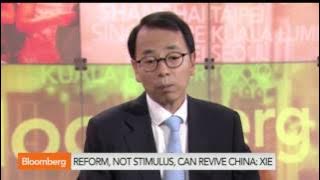Indonesia Is in for a Very Tough Period  Xie   Bloomberg