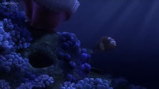 Finding Nemo 2003 Coral Death Scenes