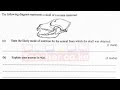 Animal Nutrition. Biology Exam Revisions