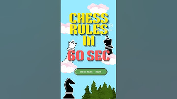 Learn Chess Rules in 60 Seconds 😲😲A guide for beginners 😍 #chessrules #howtoplaychess