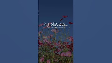 ✨ "لا يكلف الله نفسا إلا وسعها | تلاوة مؤثرة للقارئ عبدالعزيز السحيم"