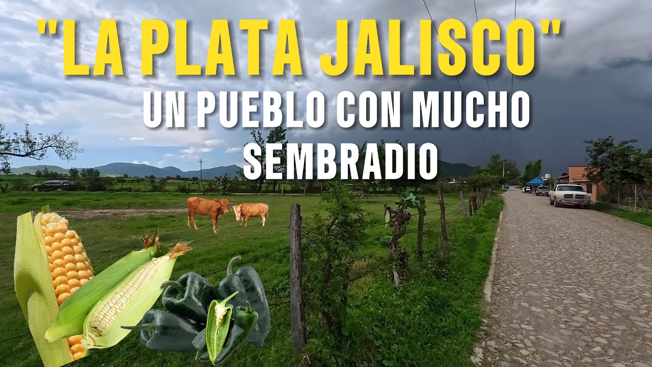 UN PUEBLITO, QUE SE MIRA CUANDO PASAS POR LA CARRETERA CON GRANDE VISTAS DE CULTIVOS