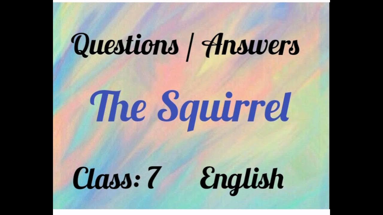 Questions and answers for the poem 'The Squirrel' class 7 English YouTube
