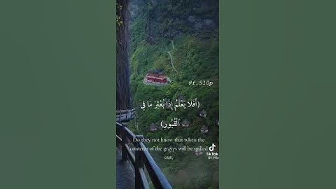 تلاوة تطمئن القلب للشيخ خالد الجليل(سورة العاديات)