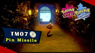 💽 TM07 PIN MISSILE location in Pokémon Sword/Shield