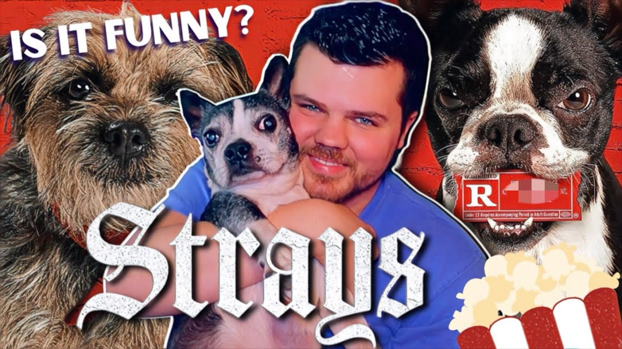 Strays (2023) Movie Review - Funny or Too Silly? - YouTube