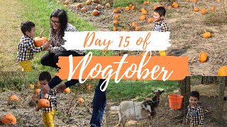 VLOGTOBER DAY 15: Pumpkin patch 2020, Family day at the pumpkin patch, Petting zoo