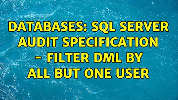Databases: SQL Server Audit Specification - filter DML by all but one user