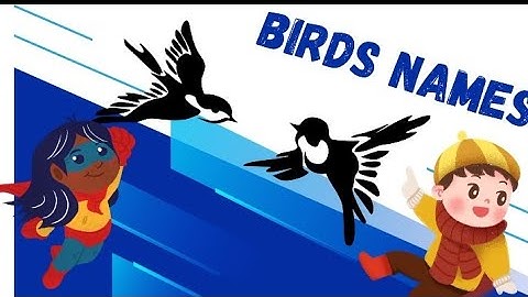 birds names with pictures for kids general knowledge video