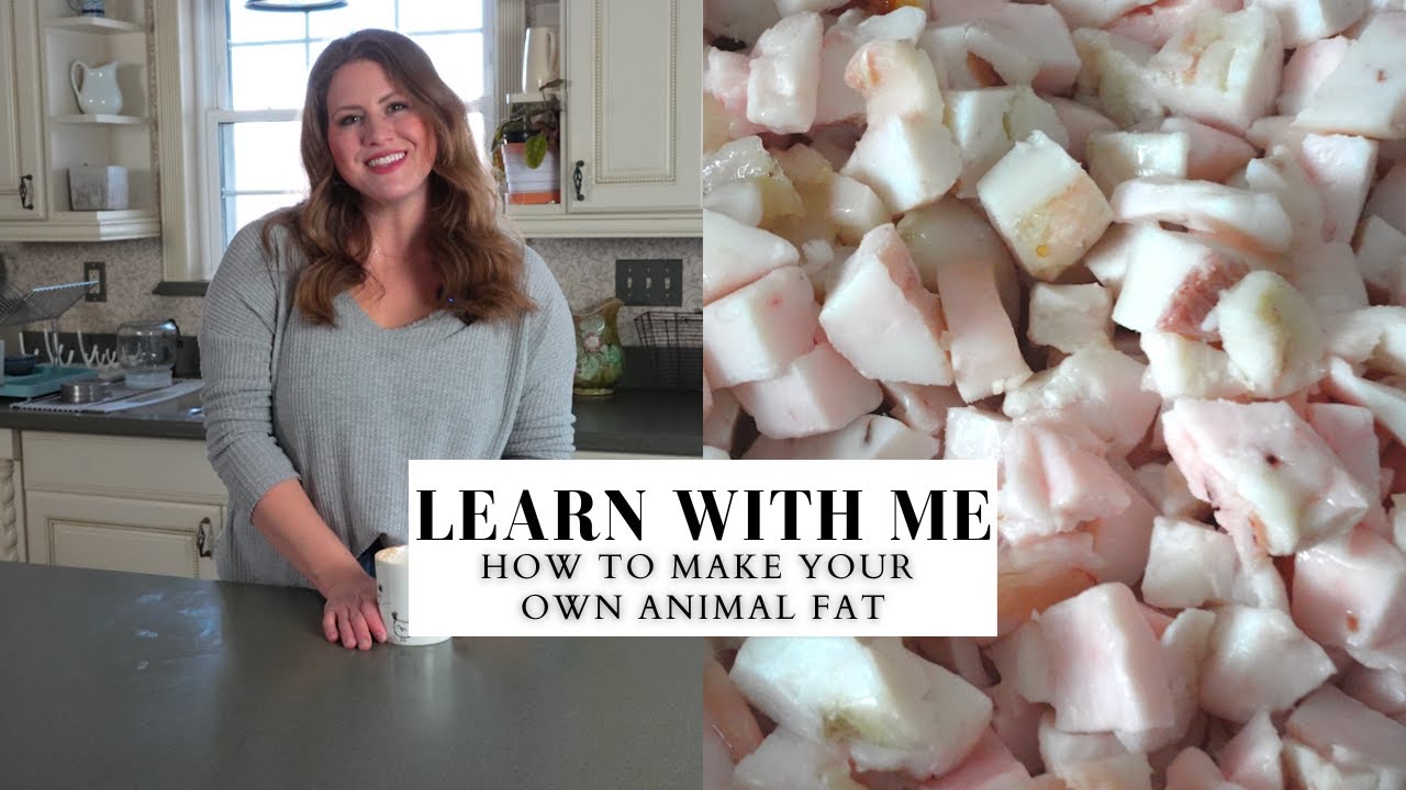 How To Render Animal Fat | Make Your Own Animal Fat at Home | Coffee
