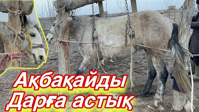 Анальды тесіктердің тегін порнофотосуреттері Жігіт киім ауыстыратын бөлмеде есінен танып қалады