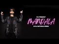 Fly Project - Mandala (AYA &amp; NitugaL Remix)
