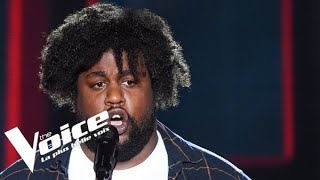 Germaine Sablon - Le chant des partisans | Luc Laversanne | The Voice France 2021 | Blinds...