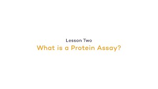 What Is a Protein Assay | Protein Concentration