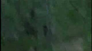 Lost Tapes - Close Encounter with Bigfoot...