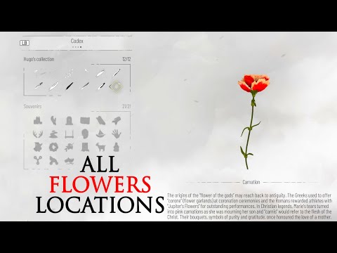 A Plague Tale: Requiem Flowers Location Guide