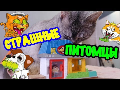 СЛАДУН В МАГАЗИНЕ СТРАШНЫХ ПИТОМЦЕВ! ХОЧУ СОБАКУ!!!