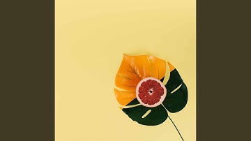 Smooth Moods for Dazy Days