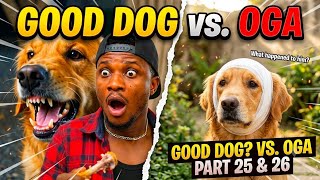 Good Dog Vs Oga series Part 25 & 26