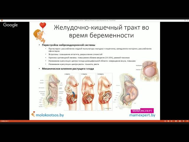 Изменения пищеварительной системы во время беременности