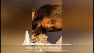 WAYASE GANTENG PULANG BAGADANG REMIX VR