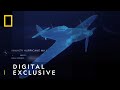 Reassembling a Fighter Plane | Drain The Oceans | National Geographic UK