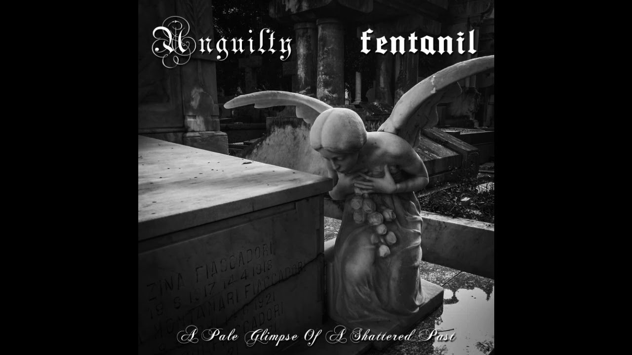 Fentanil - Serotonin