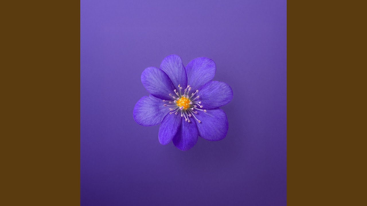 Mira Violet en YouTube Mira Violet en YouTube