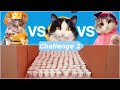 سلسله التحديات مع قططي " التحدي الثاني الأكواب " 🔥😻