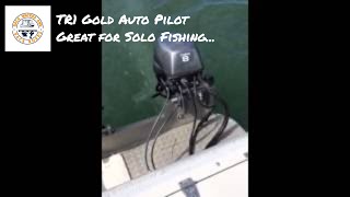 Garmin TR-1 gold auto pilot at work