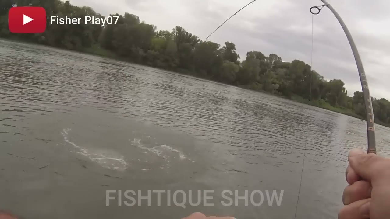 Les 10 ATTAQUES les plus SPECTACULAIRE de SILURE de FRANCE ( POISSON )