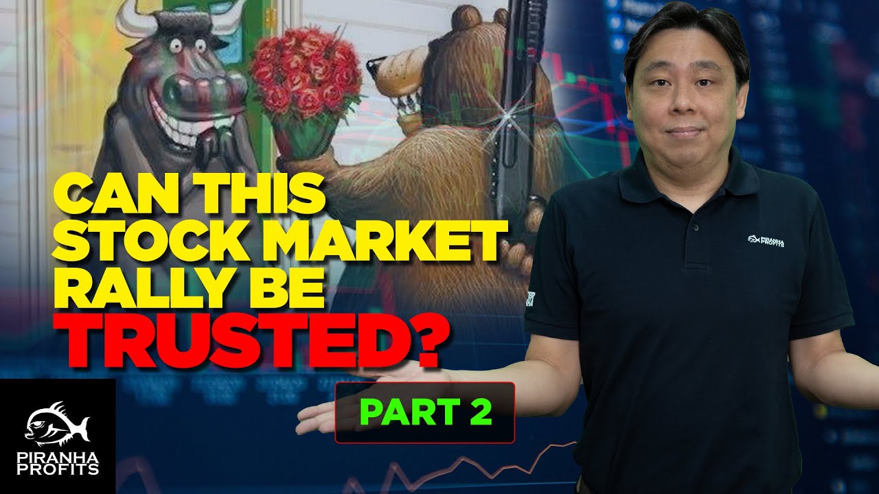 Can this Stock Market Rally Be Trusted? Part 2 of 2