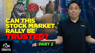 Can this Stock Market Rally Be Trusted? Part 2 of 2