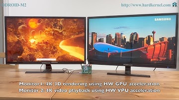 ODROID-M2 Dual Head 4K Display