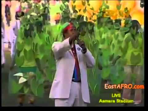 bereket mengisteab hager bereket mengisteab hager