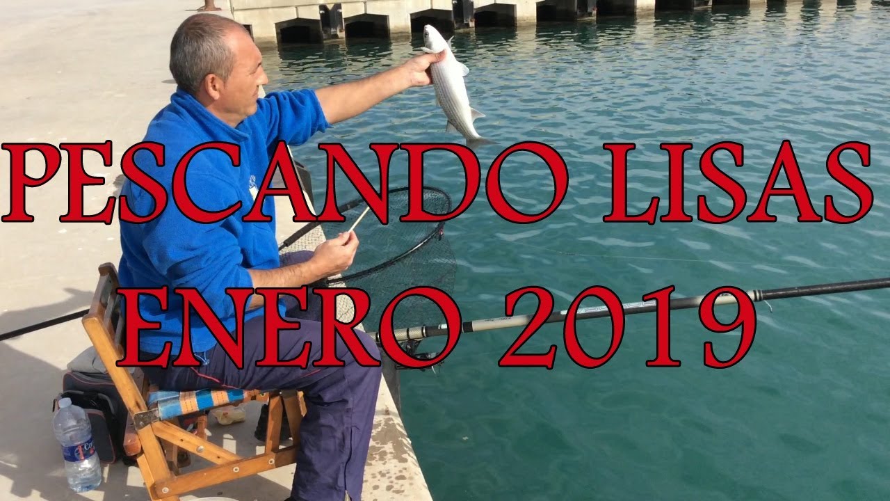 Corcheo mar las mejores imágenes de una Jornada pescando  lisa enero 2019.Sorprendente
