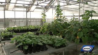 Grow it Green: 2026 UNH Greenhouse Open House
